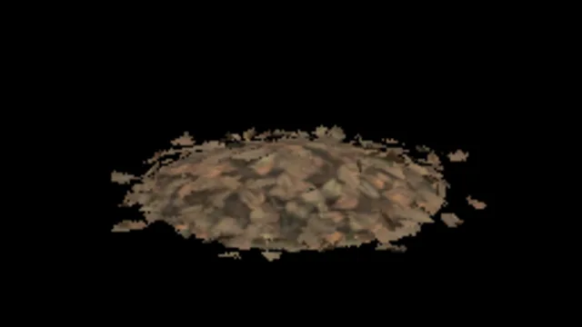 Leaves Scatter Pile 6