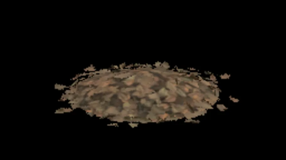 Leaves Scatter Pile 6