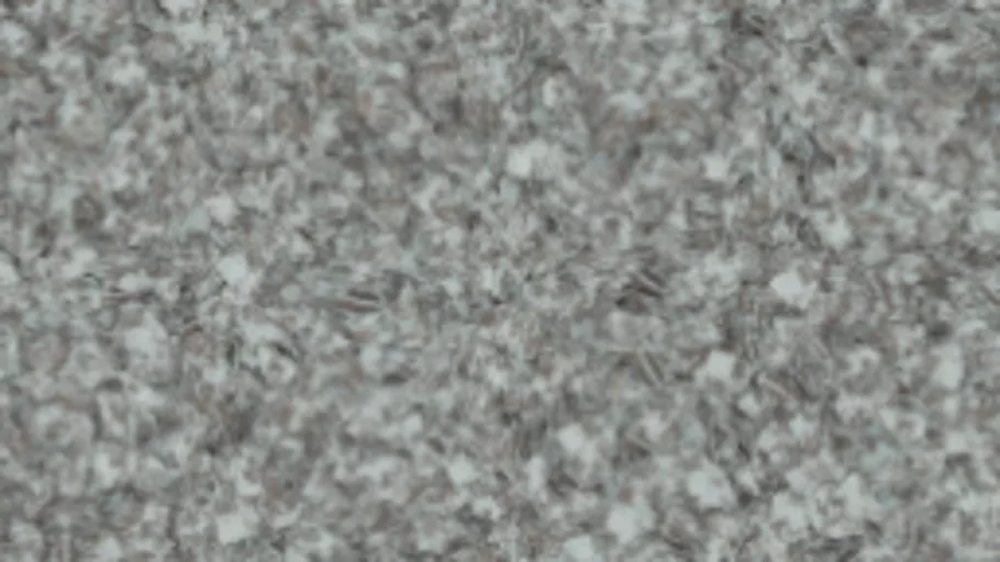 Leaves a Snow