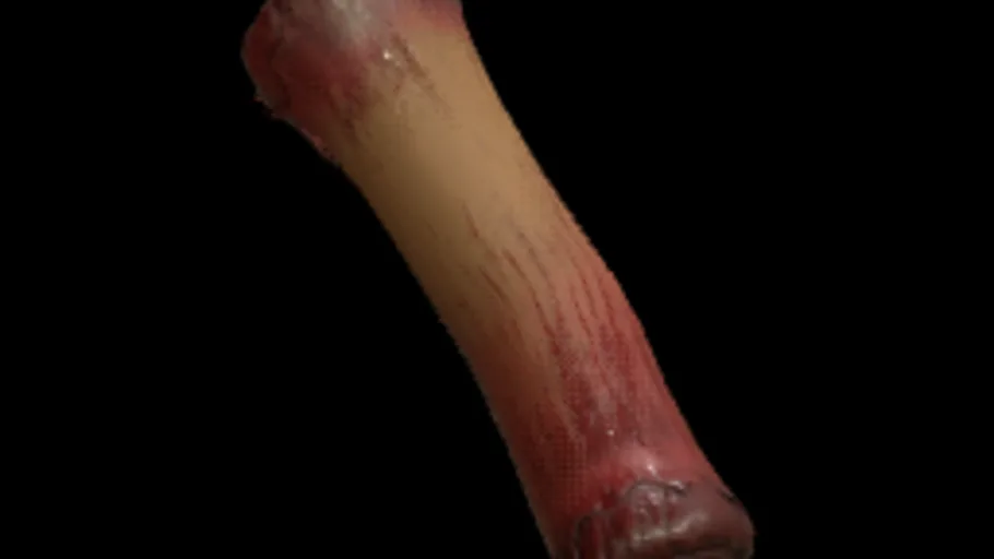 Left Arm Gib Cap
