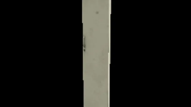 Locker Door