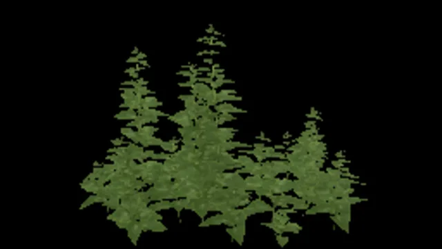 Nettle Plant Large