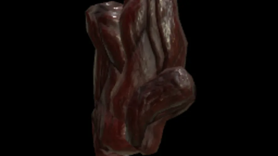 Organ Gib
