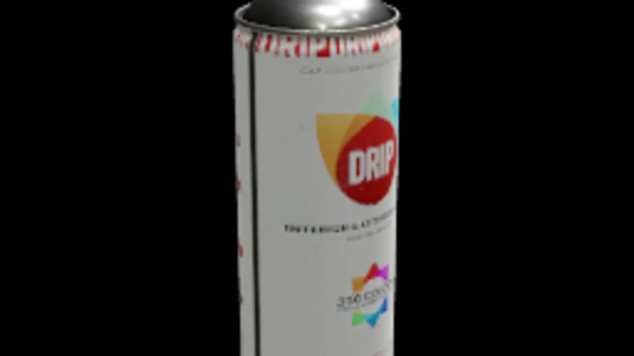 Paint spray can