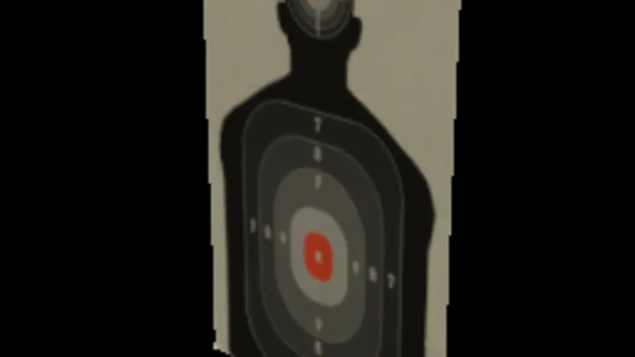 Paper Target 2