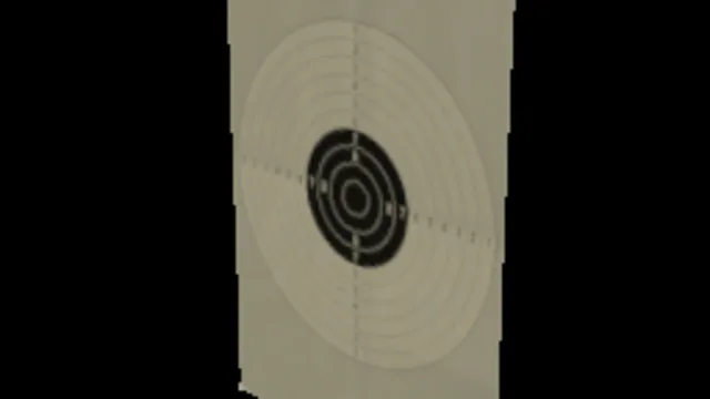 Paper Target 3
