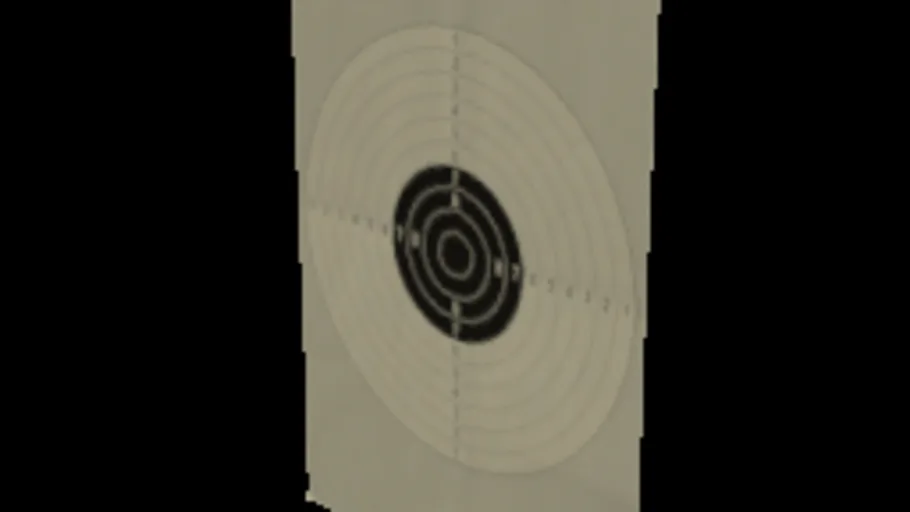 Paper Target 3
