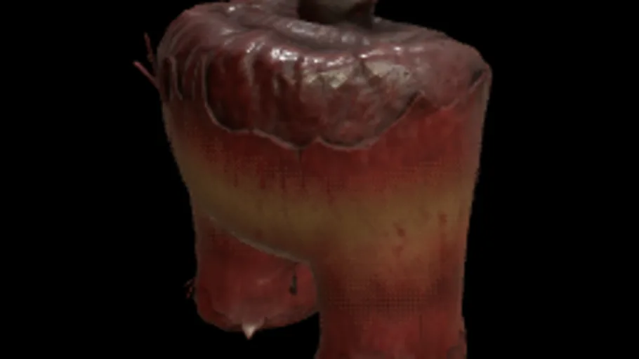 Pelvis Gib Cap