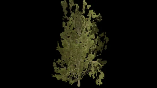 Pine Shrub Tall a