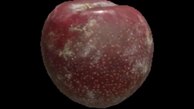 Plum