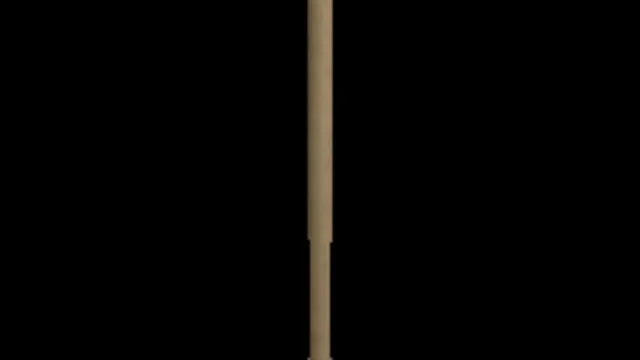 Plunger
