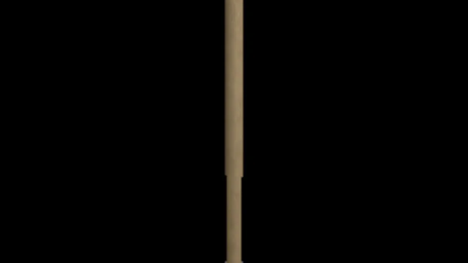 Plunger