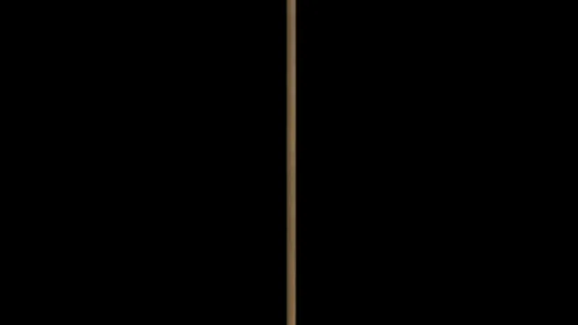 Garden Rake