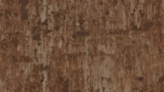 Rust c