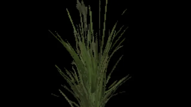 Tall Grass a