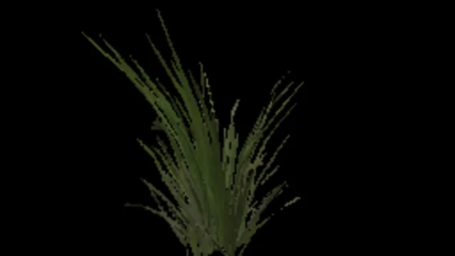 Tall Grass b