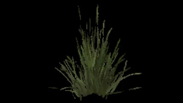 Tall Grass c