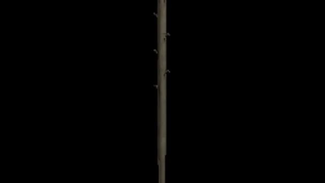Telegraph Pole