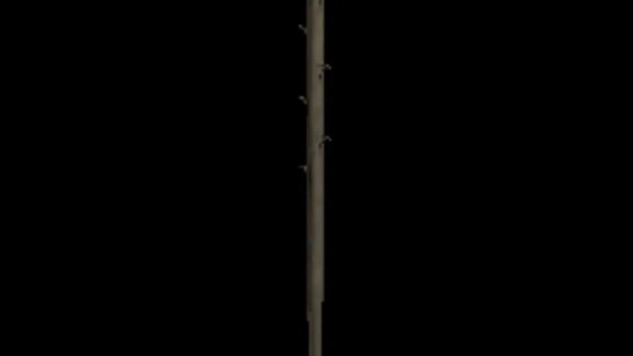Telegraph Pole