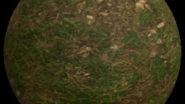 Terrain Grass a