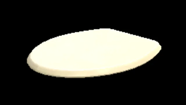 Toilet Lid