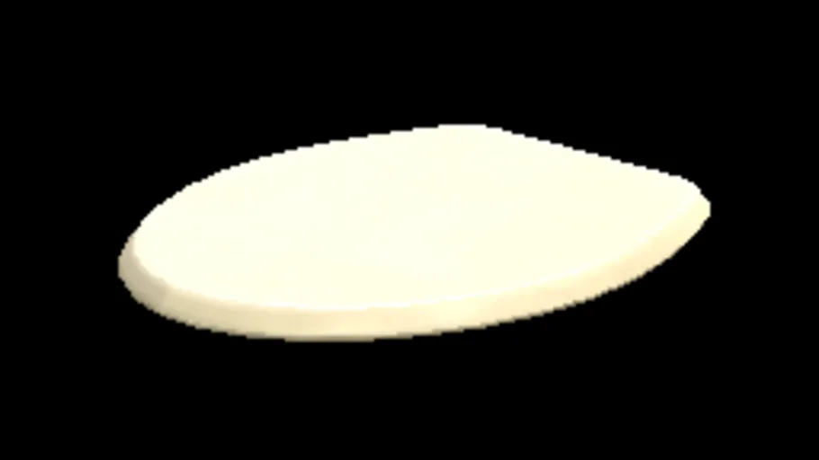 Toilet Lid