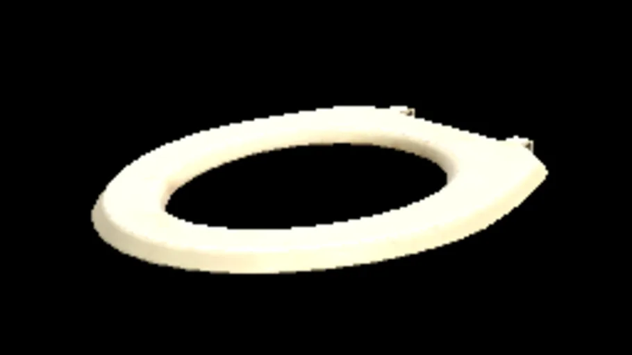 Toilet Seat