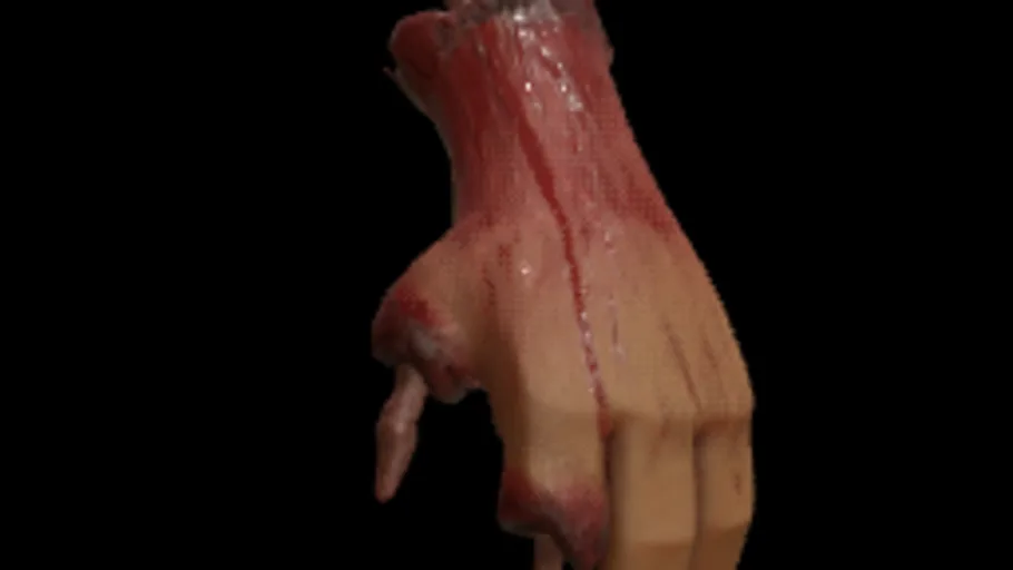 Torn Hand Gib