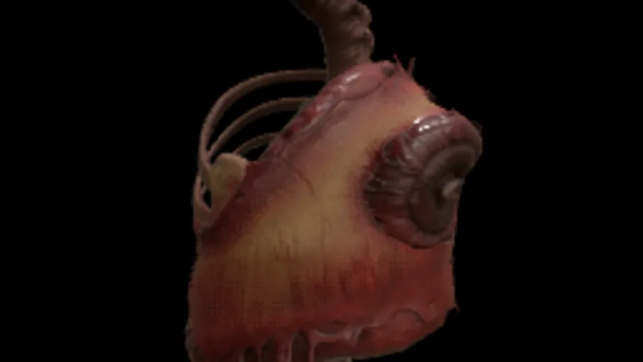 Torn Torso Gib