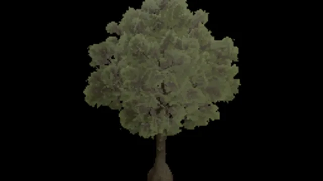 Tree Oak Medium a