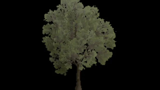 Tree Oak Small a