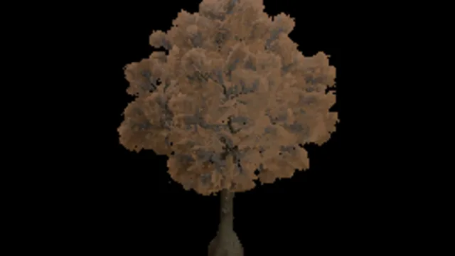 Tree Oak Dry Medium a