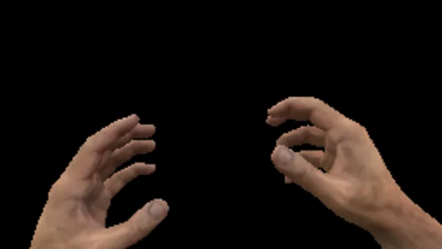 ViewModel human arms