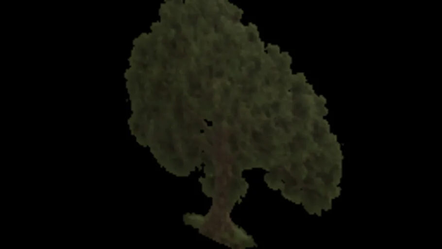 Vista Trees Card 1
