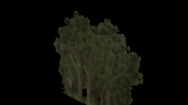 Vista Trees Card 2