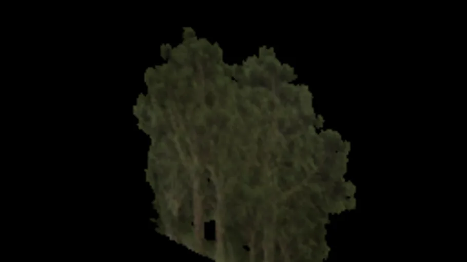 Vista Trees Card 2