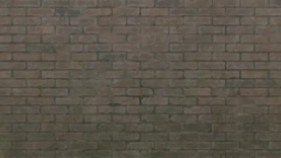 Wall Brick Older Bottom Moss