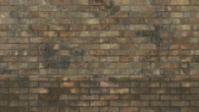 Wall Brick b2 Blend Dirt
