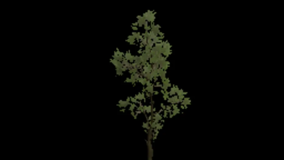 Weed Tree Large