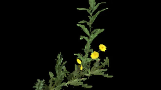 Weeds Wall 1