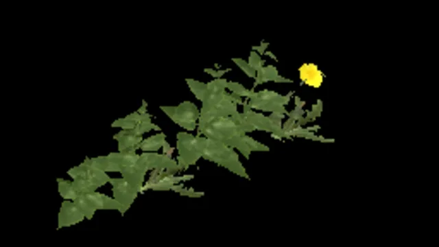 Weeds Wall 2