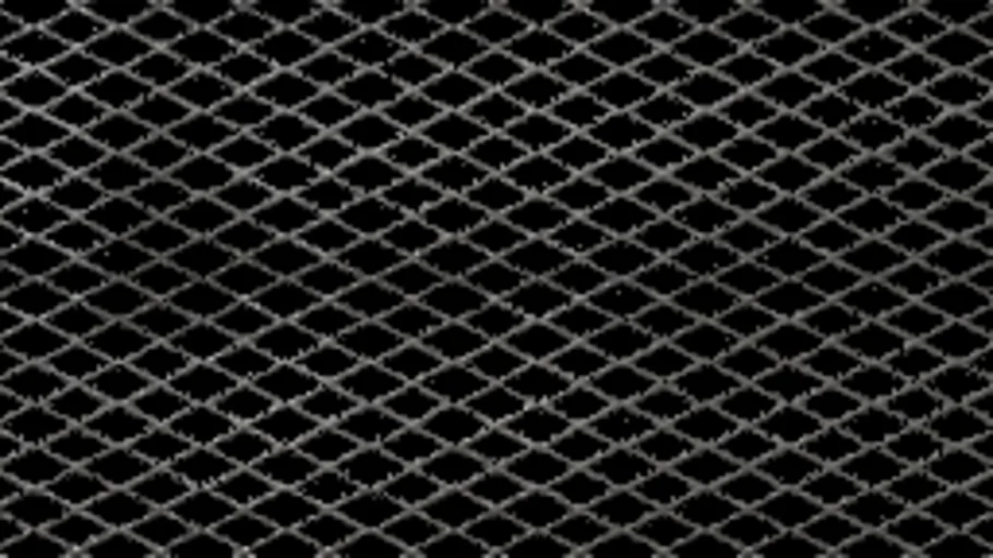 Wire Cage b