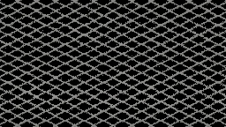 Wire Cage b Painted