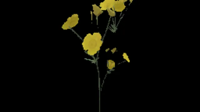 Yellow Weed Flower