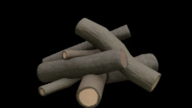 Campfire