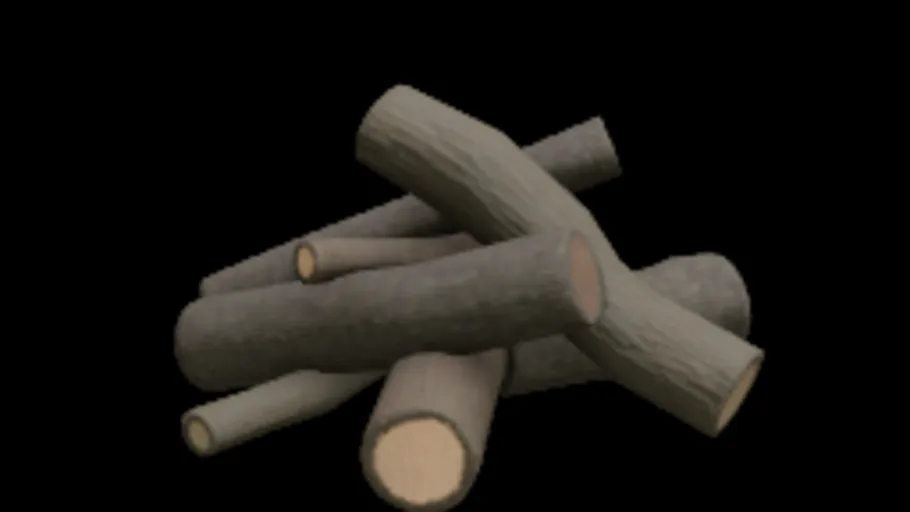 Campfire