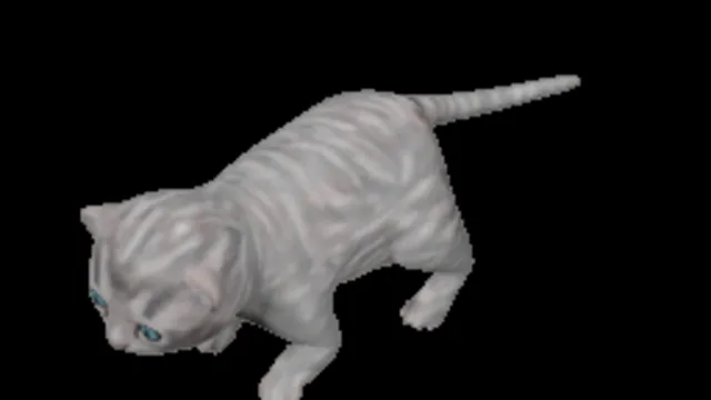 Kitty Cat