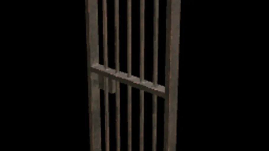 Retro Cellgate Door