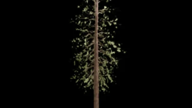 Basic Pine Tree
