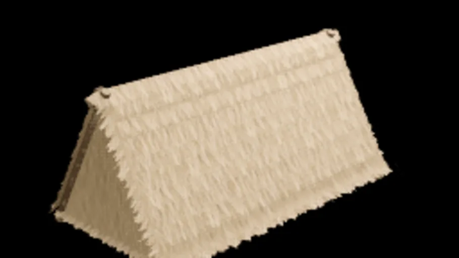 Thatch Tent B